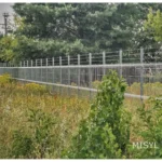 Misyl 6 2025-07-13_15-57